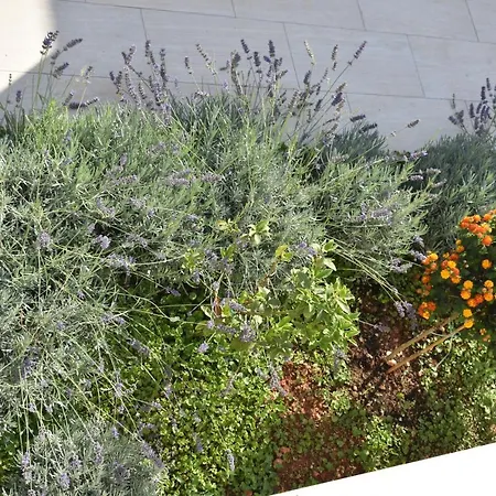 Apartamento Marlin Blue