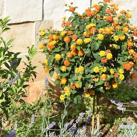 Marlin Blue Apartamento *