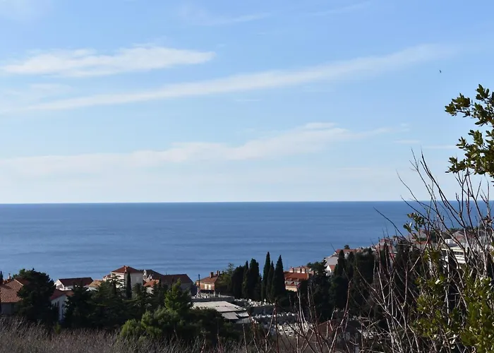 Marlin Blue * ドゥブロブニク