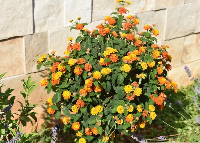 アパート Marlin Blue *