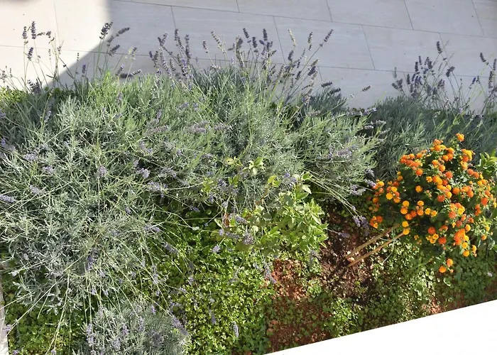 アパート Marlin Blue