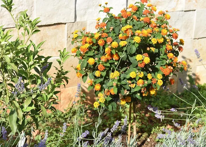 Marlin Blue アパート *