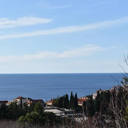 Marlin Blue * Ragusa